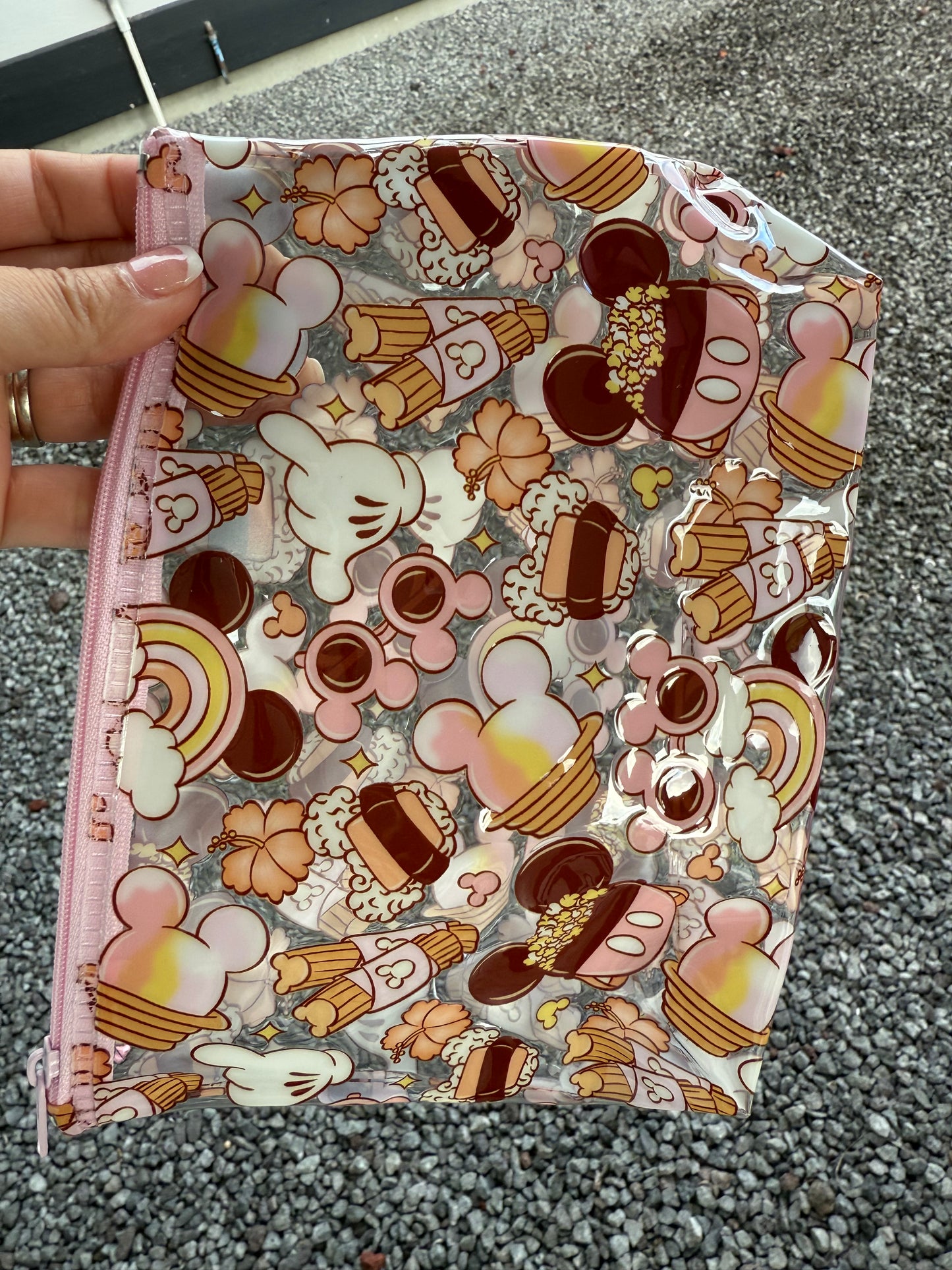 Transparent Zipper Pouch