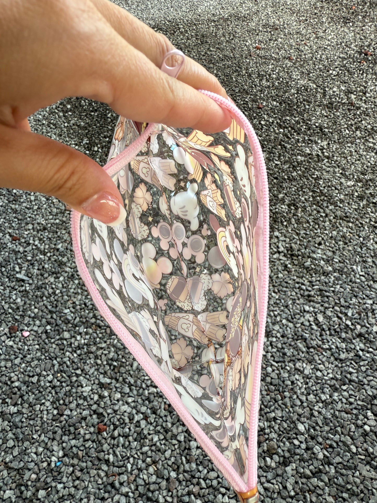 Transparent Zipper Pouch