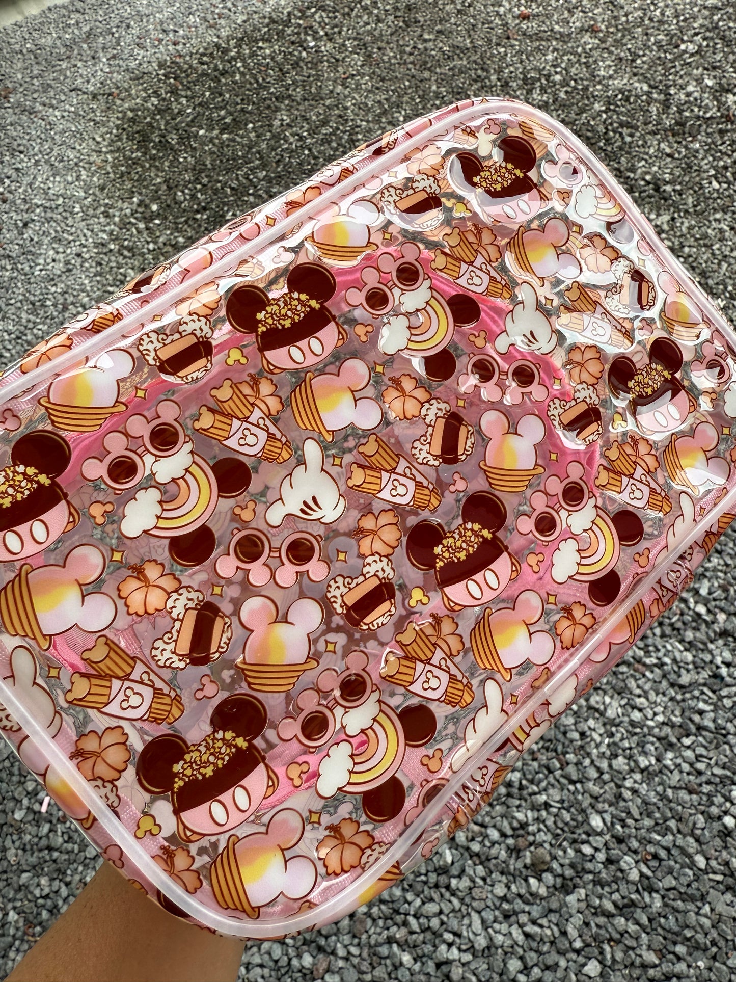 Transparent Accessories Bag