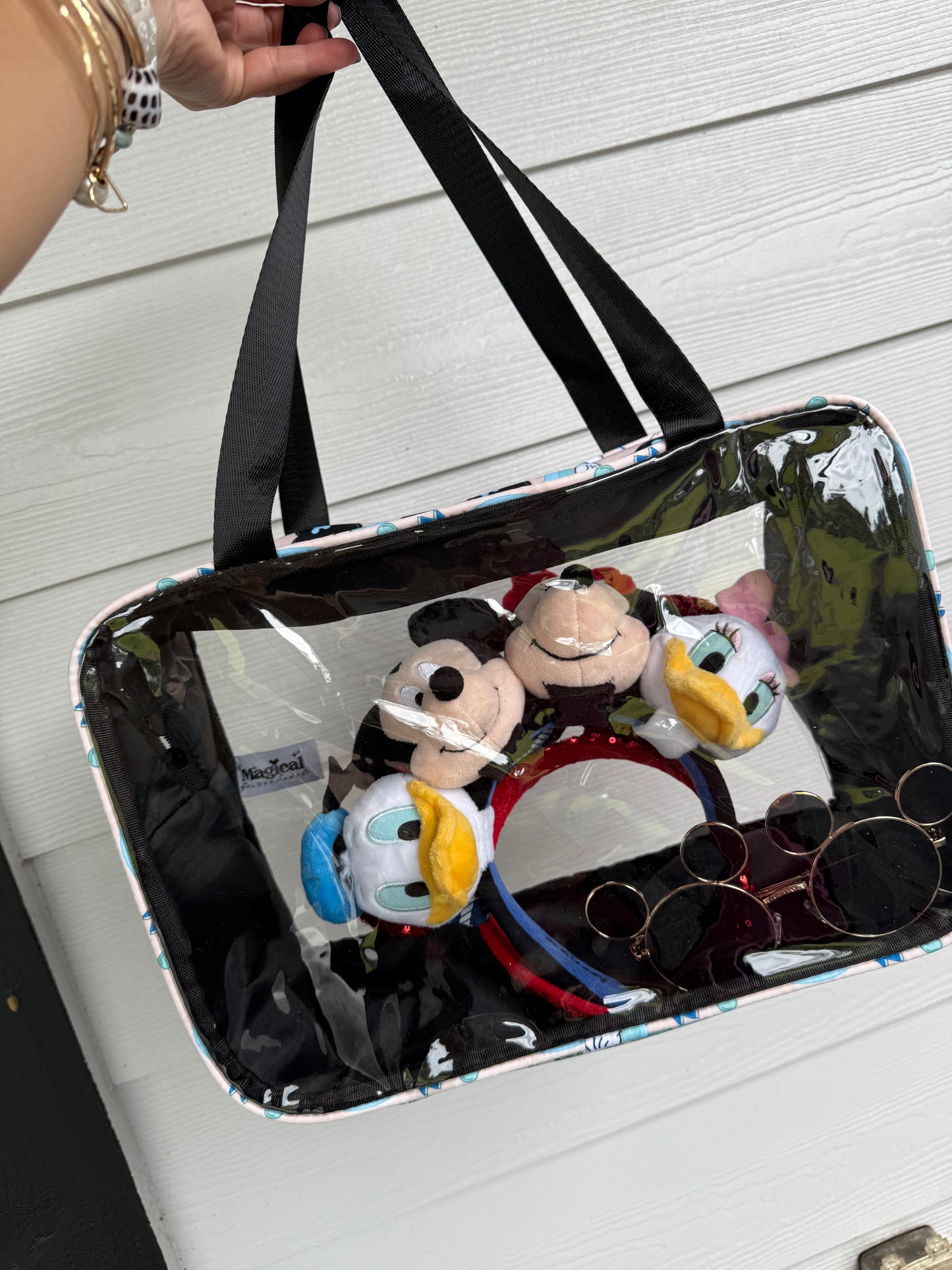 Transparent On-The-GO Mama Bag