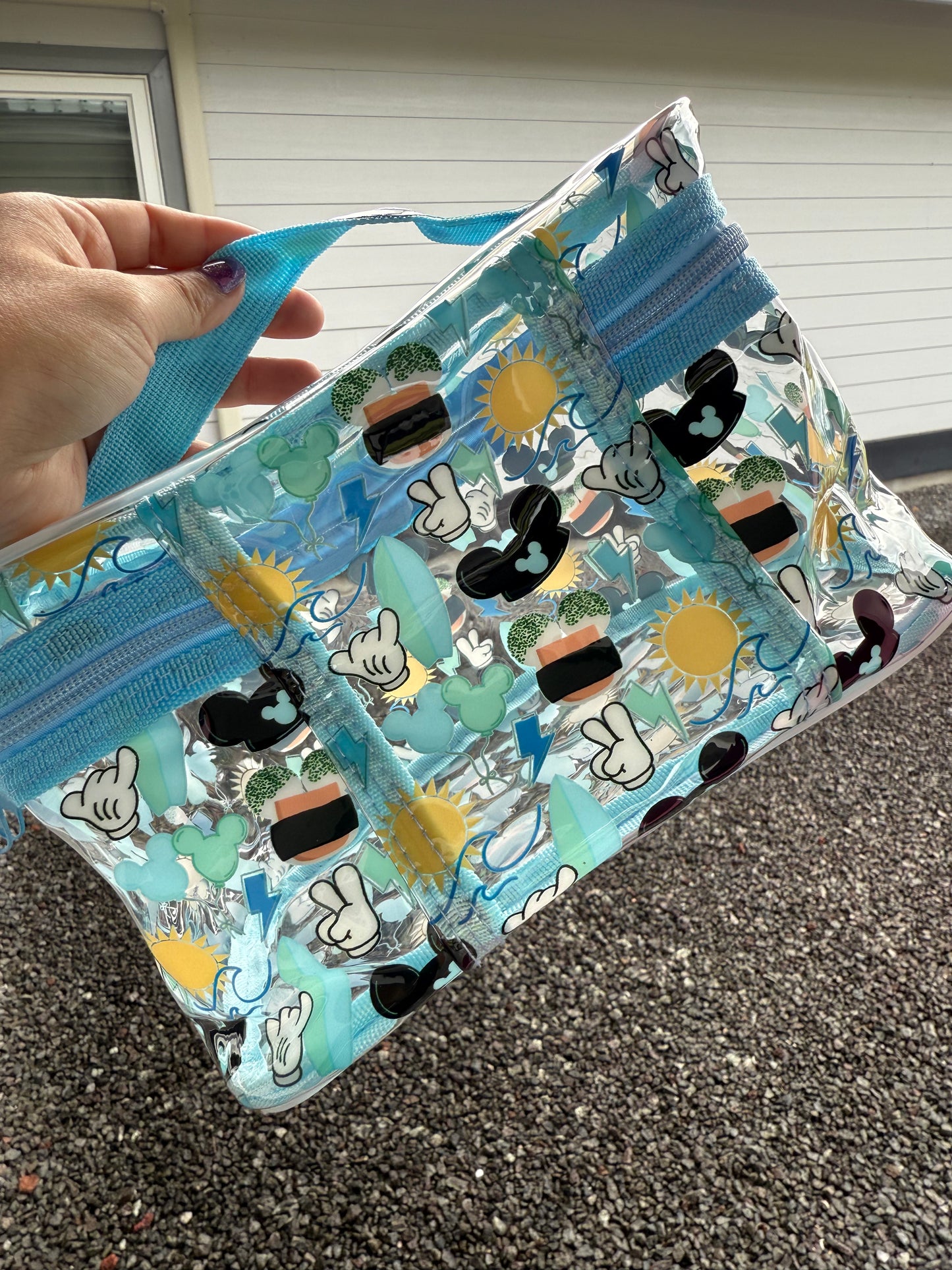 Transparent Accessories Bag