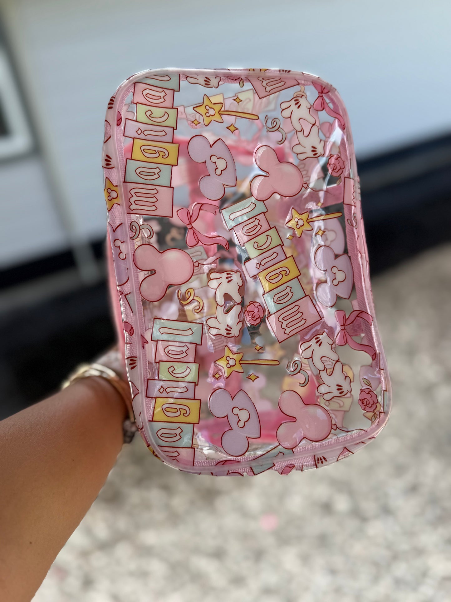 Transparent Accessories Bag - Magical Pink