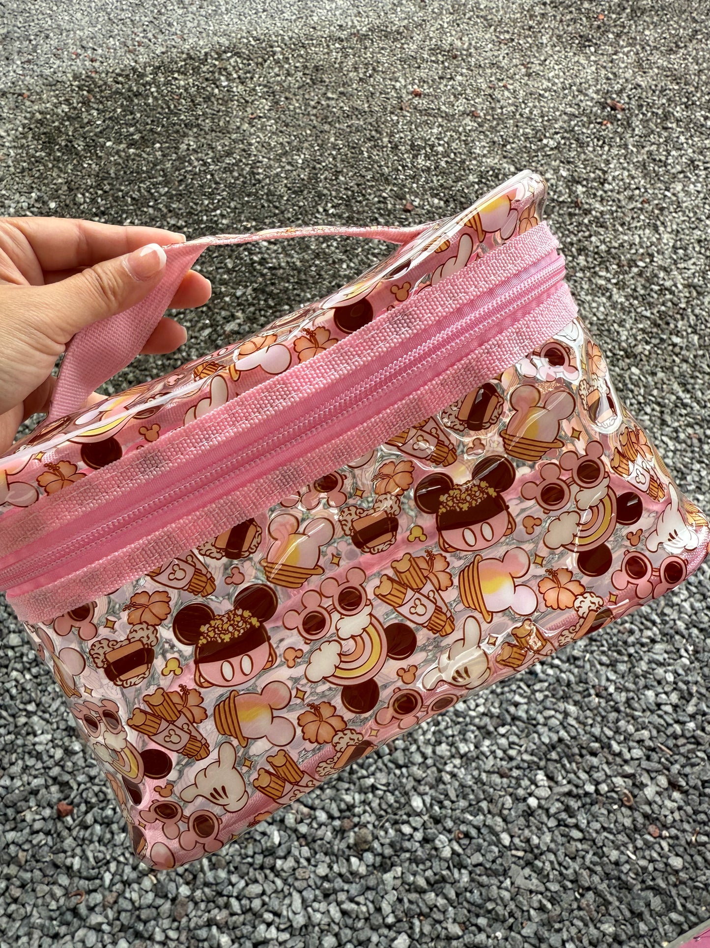 Transparent Accessories Bag