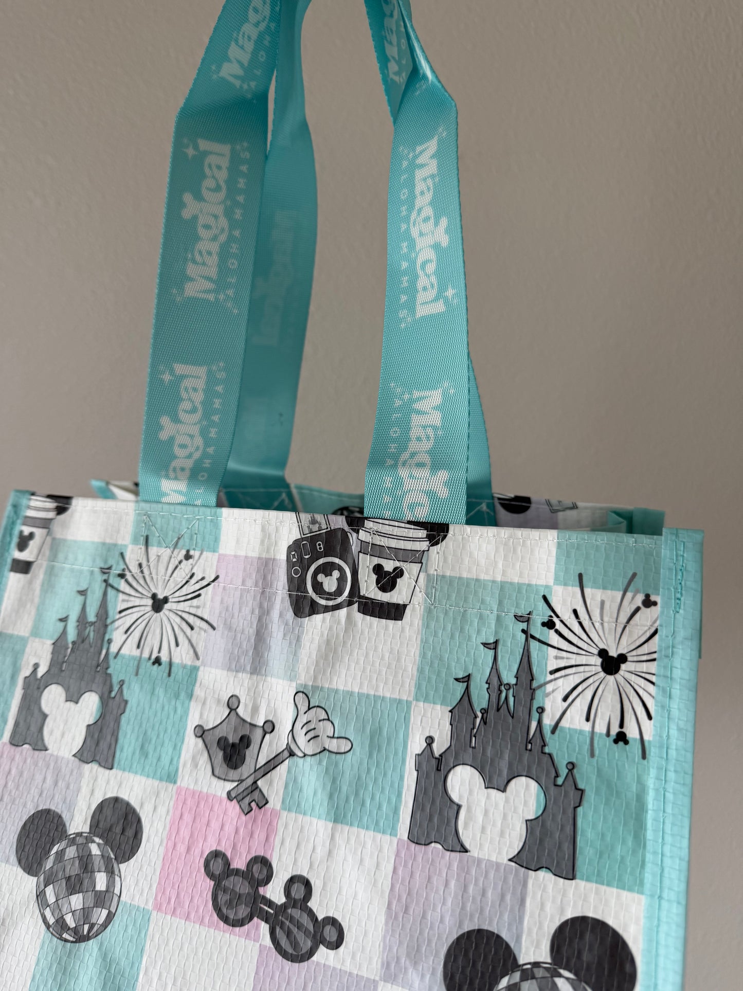 Grindz Tote - Main Street Magic Mermaid