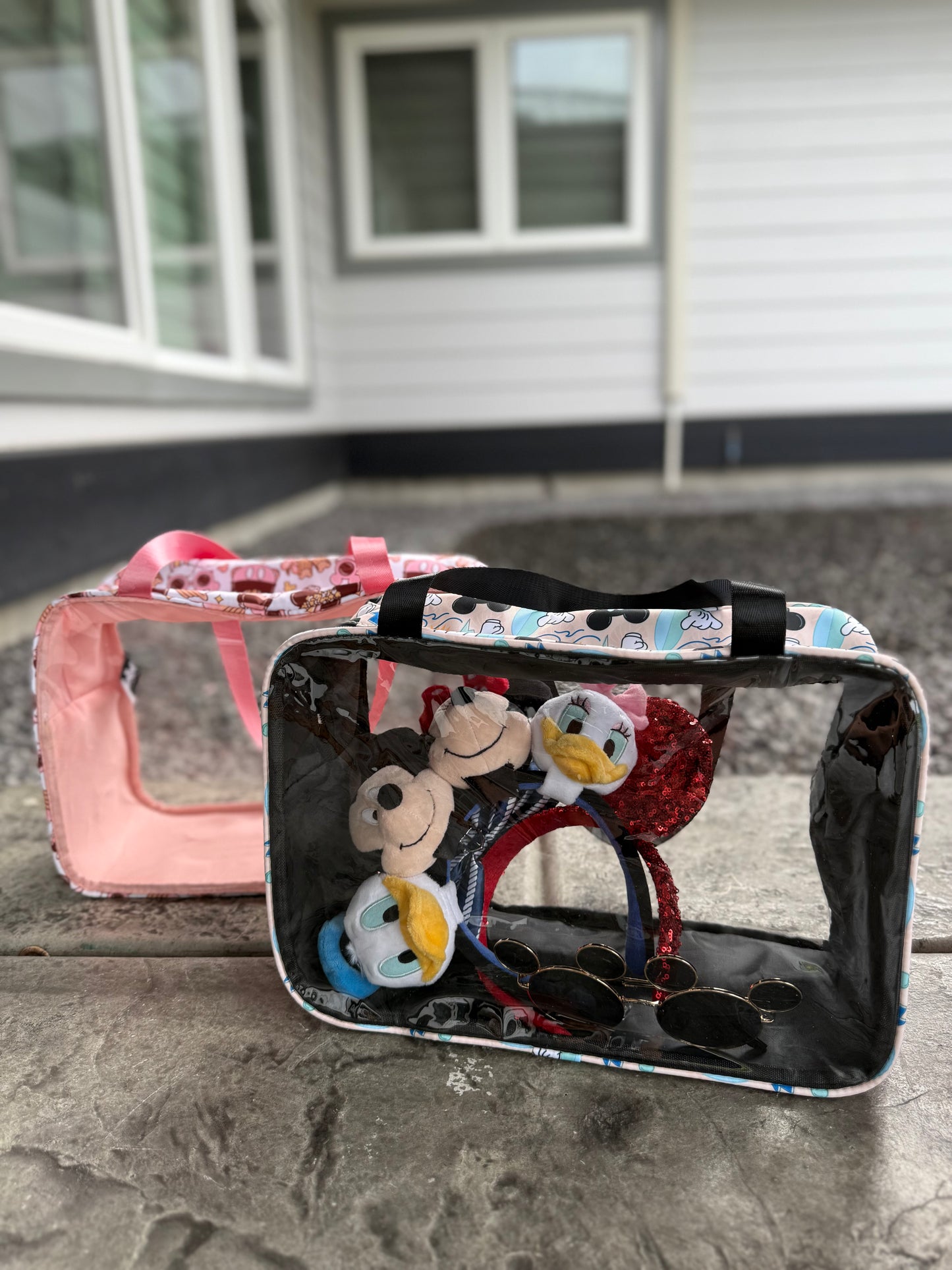 Transparent On-The-GO Mama Bag