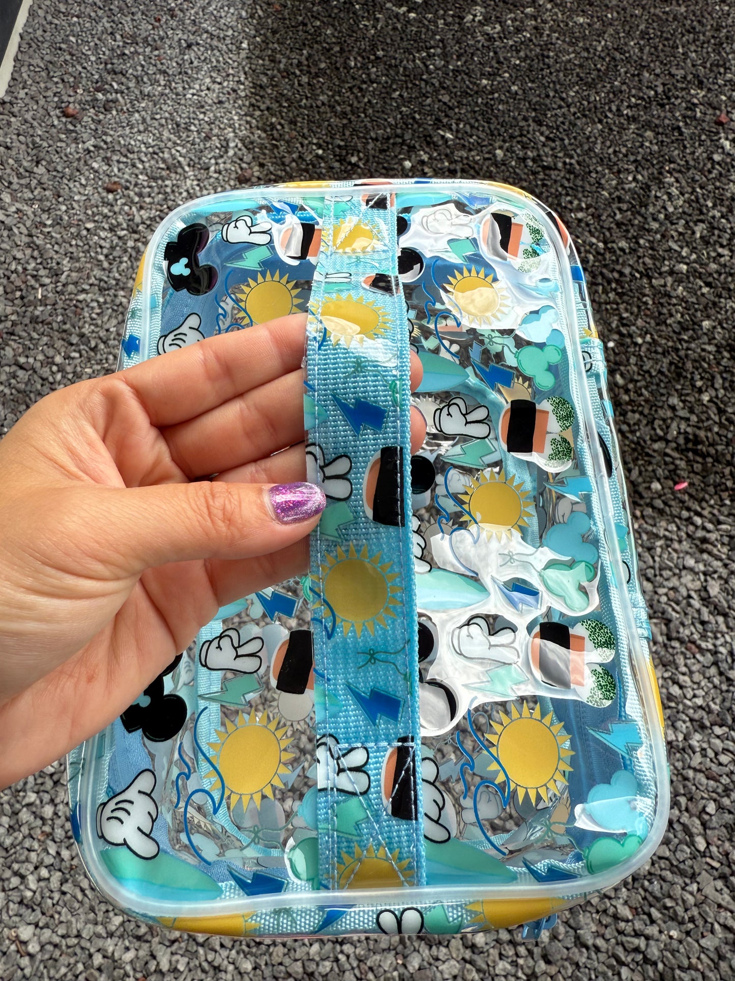 Transparent Accessories Bag