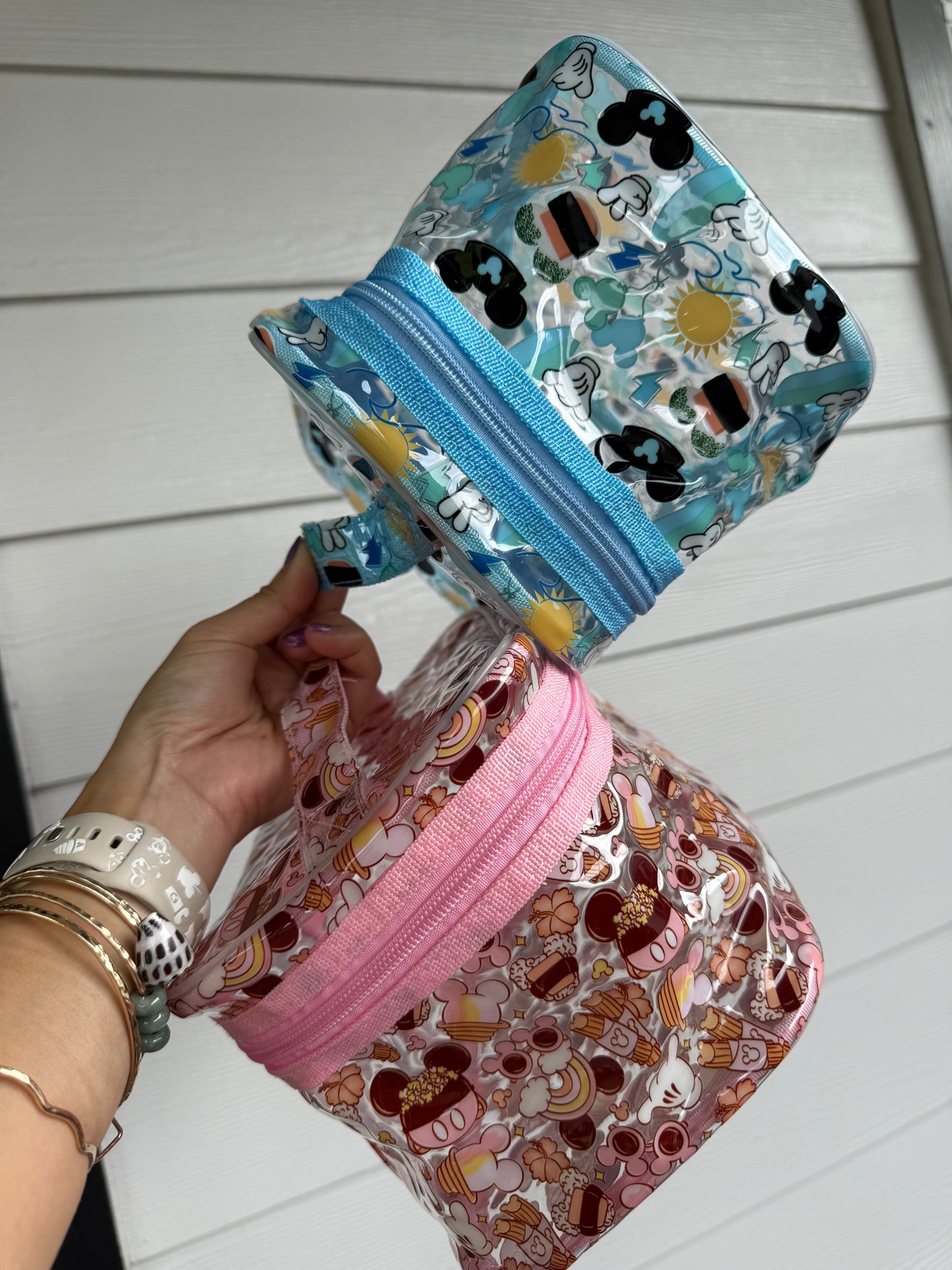 Transparent Accessories Bag